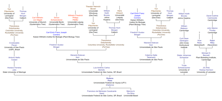 Árvore Genealógica Científica
